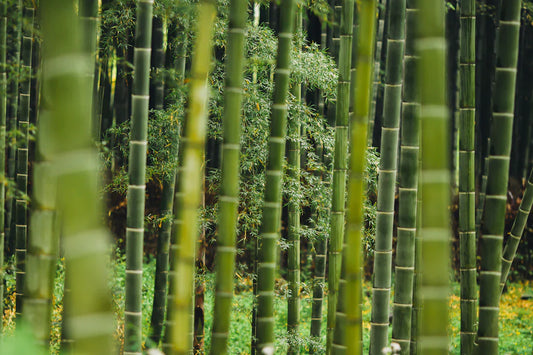 Understanding Nappy Rash  How Bamboo Nappies Can Help