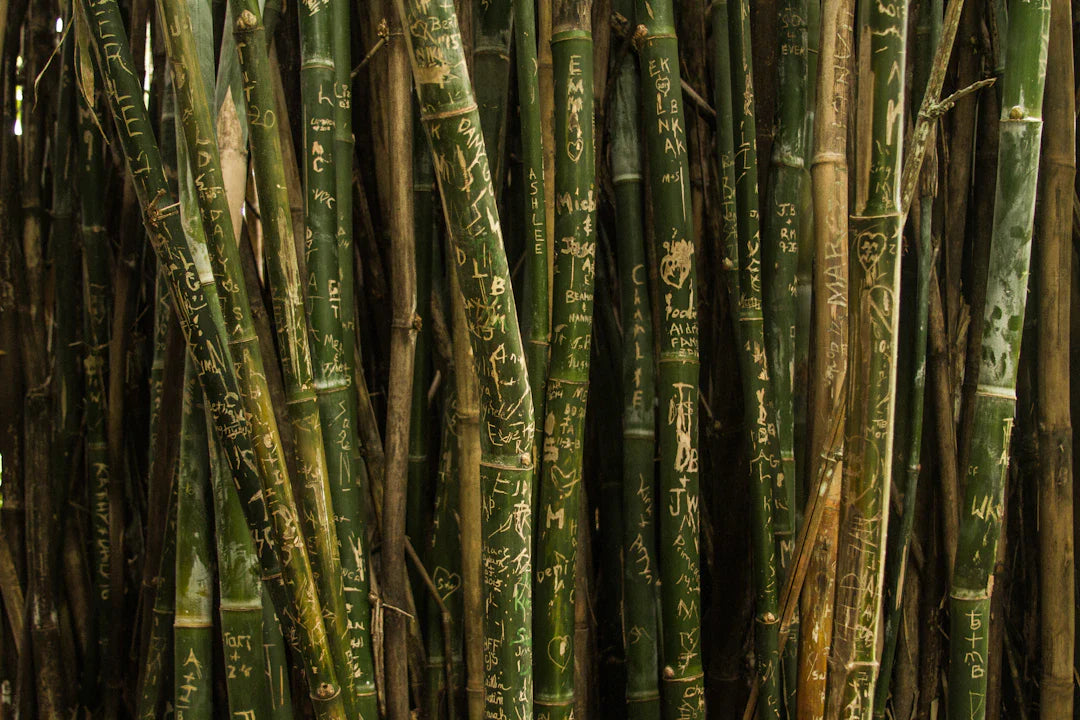 Organic Bamboo Nappies vs. Disposable Nappies A Cost Showdown