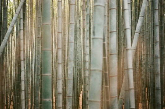 Why Bamboo Nappies Beat Cotton Every Time