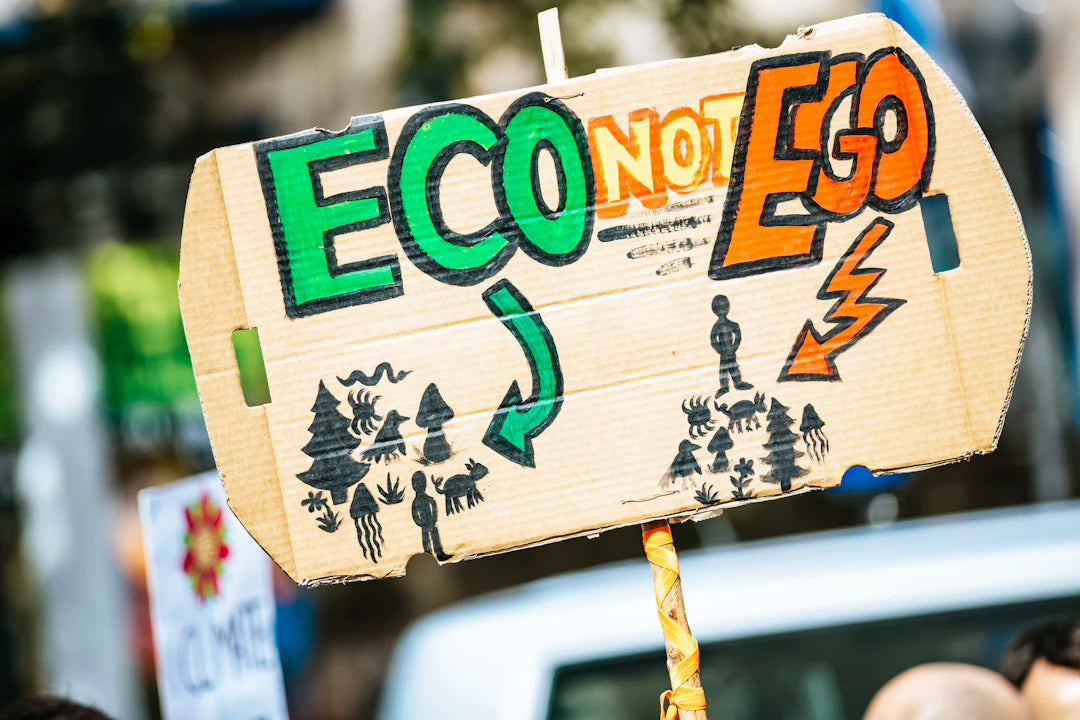 Connect with Eco-Conscious Parents for a Greener Future