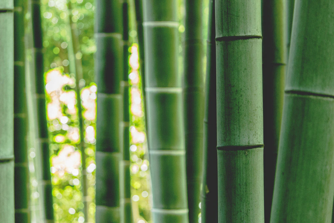 Heartfelt Customer Stories with Bamboo Nappies