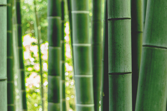 Heartfelt Customer Stories with Bamboo Nappies