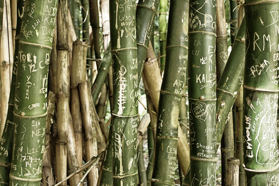 Switching to Bamboo Nappies Tips for First-Time Parents