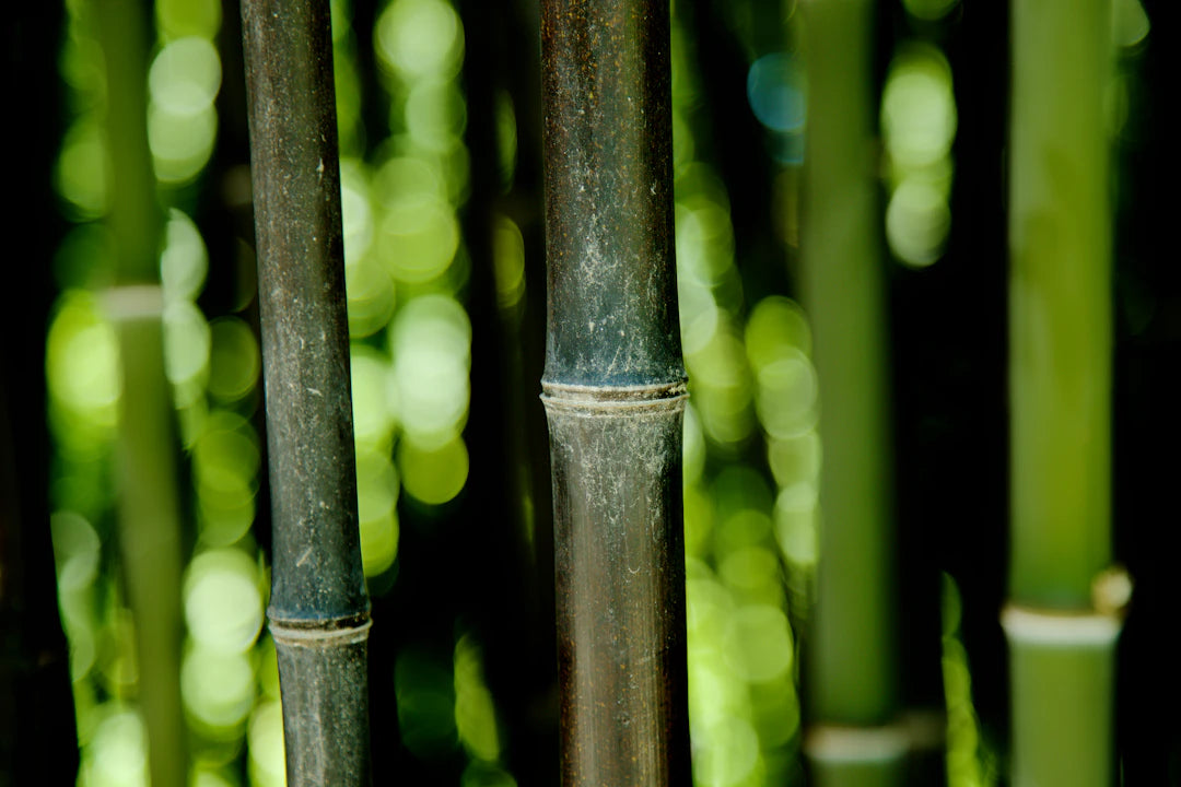 Top Tips for Caring for Your Organic Bamboo Nappies