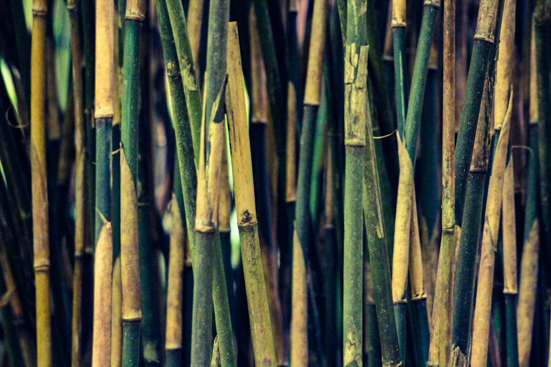 The Cost-Effectiveness of Using Bamboo Nappies