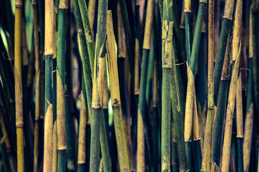 The Cost-Effectiveness of Using Bamboo Nappies