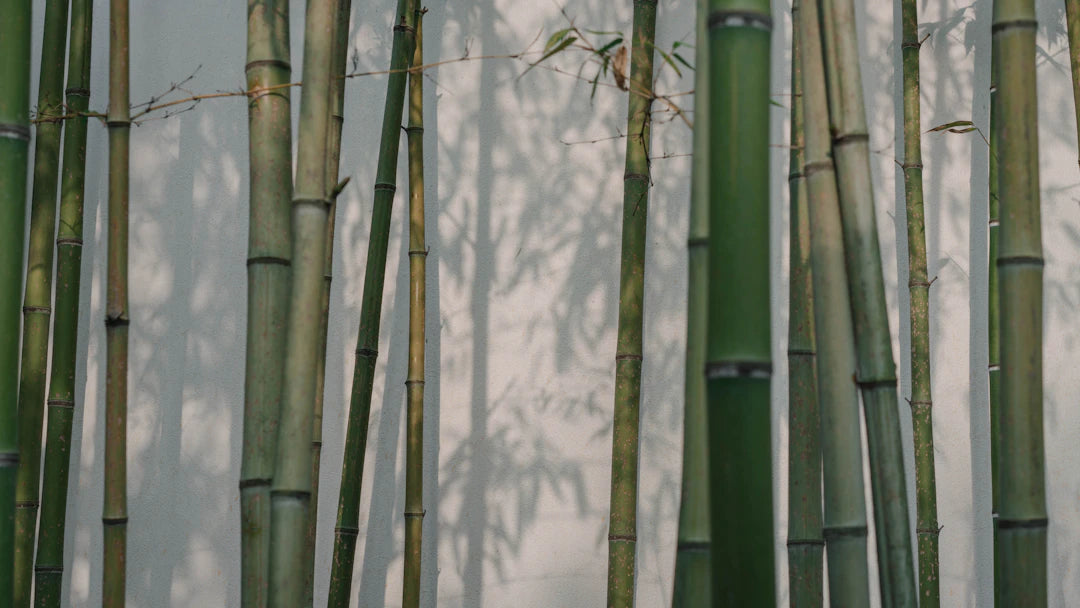 Ultimate Guide to Washing and Caring for Bamboo Nappies