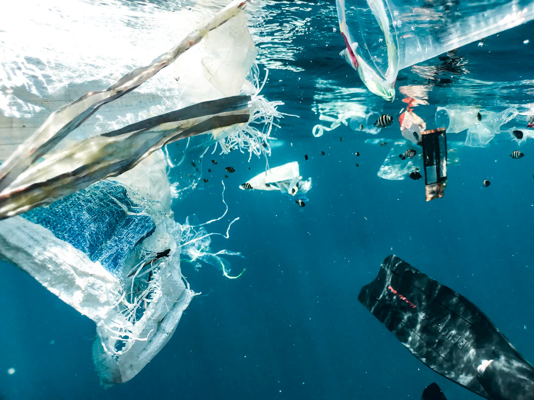 The Environmental Toll of Traditional Nappies