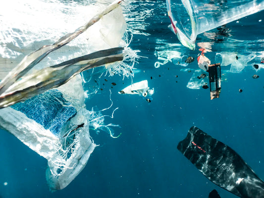 The Environmental Toll of Traditional Nappies