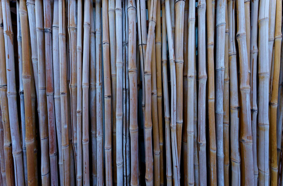 Discovering Eco-Friendly Bamboo Nappies vs. Disposable Diapers