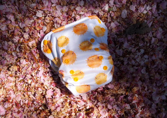 Floral Organic Bamboo Nappies for Eco-Conscious Parents